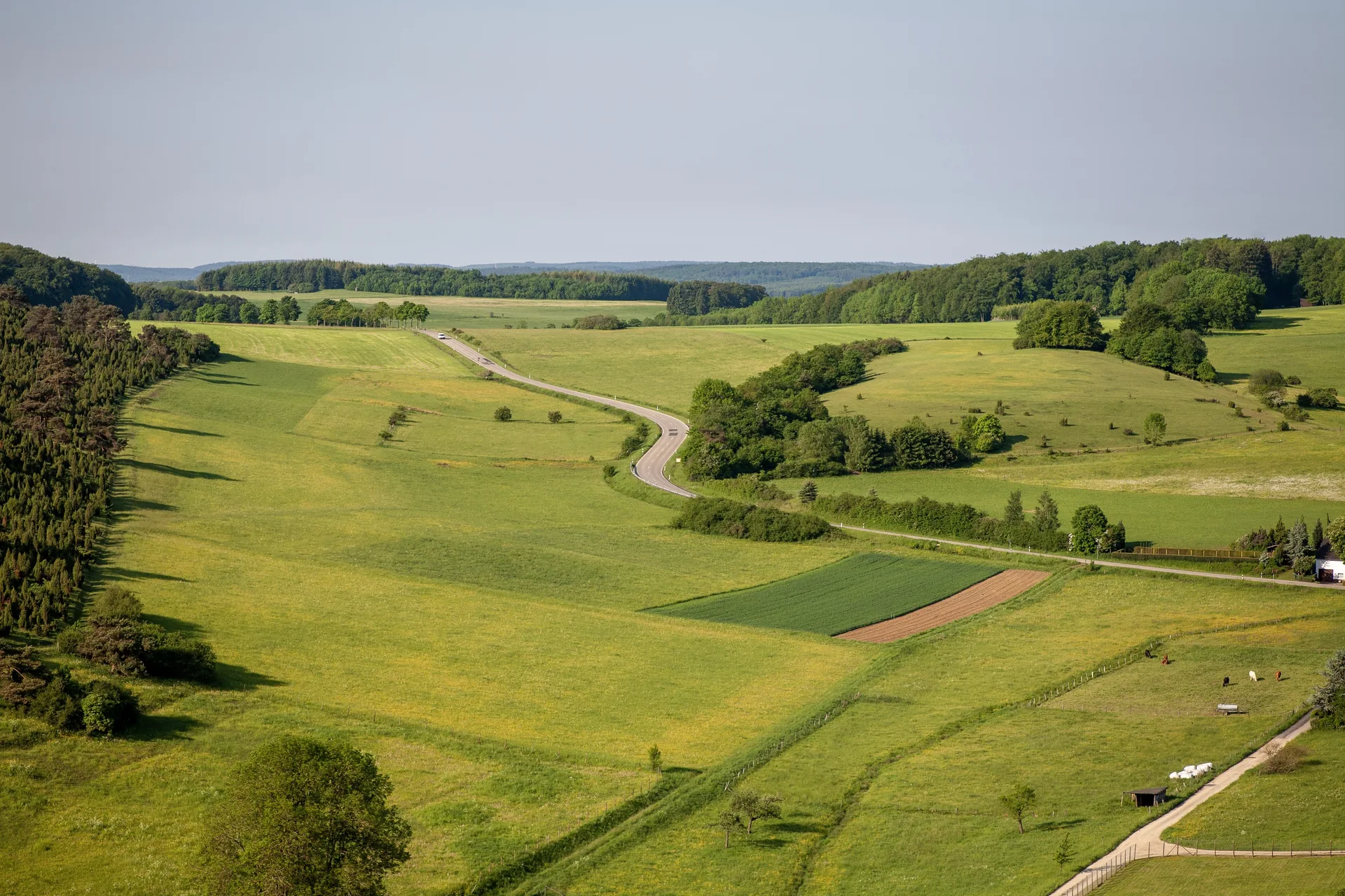 TERRENOS