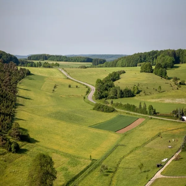 TERRENOS