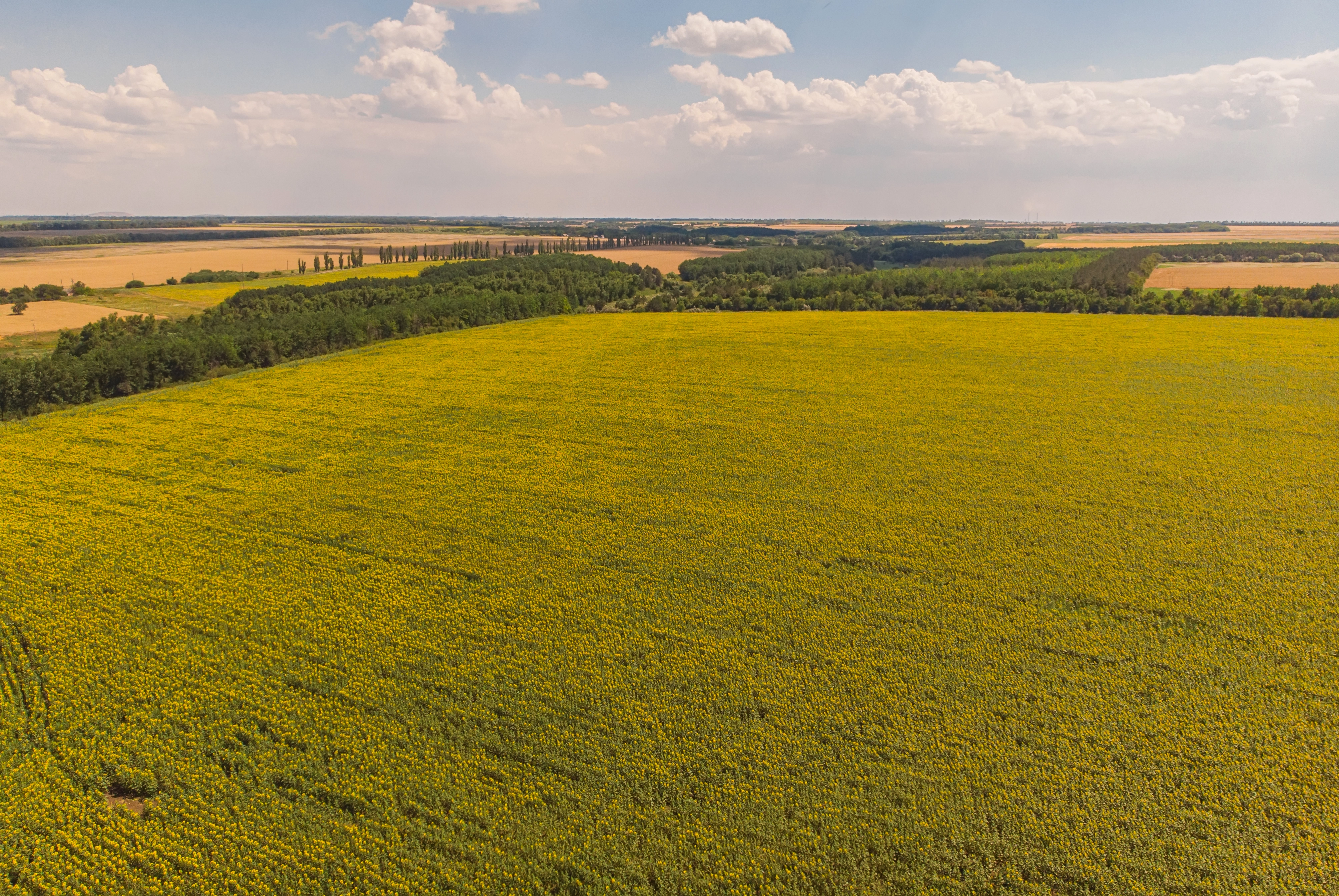 TERRENO AGRÍCOLA PARA CONSTRUÇÃO DE MORADIA